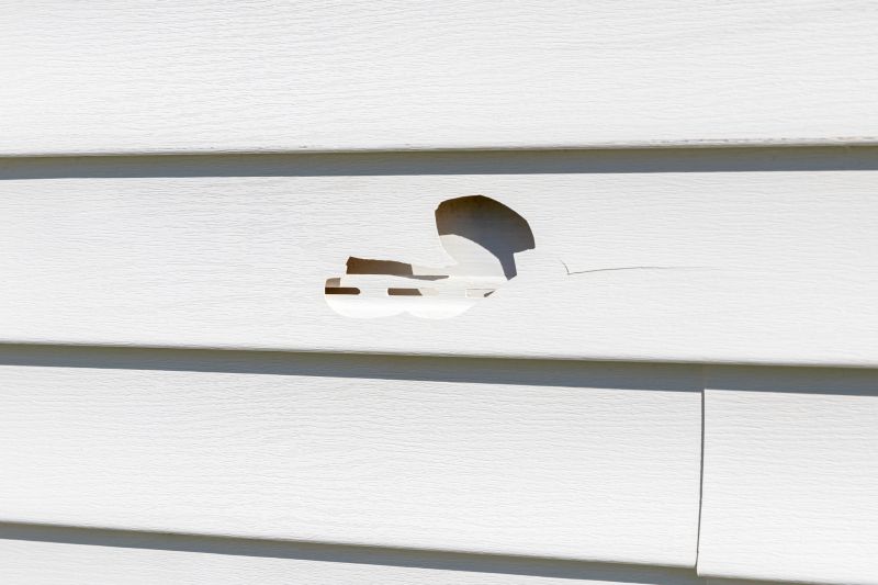 Vinyl Siding Repair Process